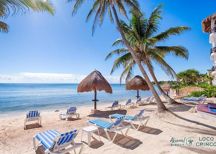 Сasa de vacaciones Luna Azul 8: Beachfront Paradise In